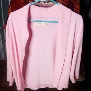 Pink Women's Sweater by